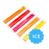 Glace à l'eau Classic Alaska Boy 50ml x 10 bâtonnets (5 saveurs)