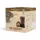 Hot Chocolate - Chocolat chaud 16 capsules pour Dolce Gusto
