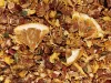 Rêve d'Orange - Infusion 45g en vrac