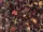 Old love - Infusion Fruits des bois 45g en vrac