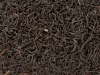 Assam - Thé noir 45g en vrac
